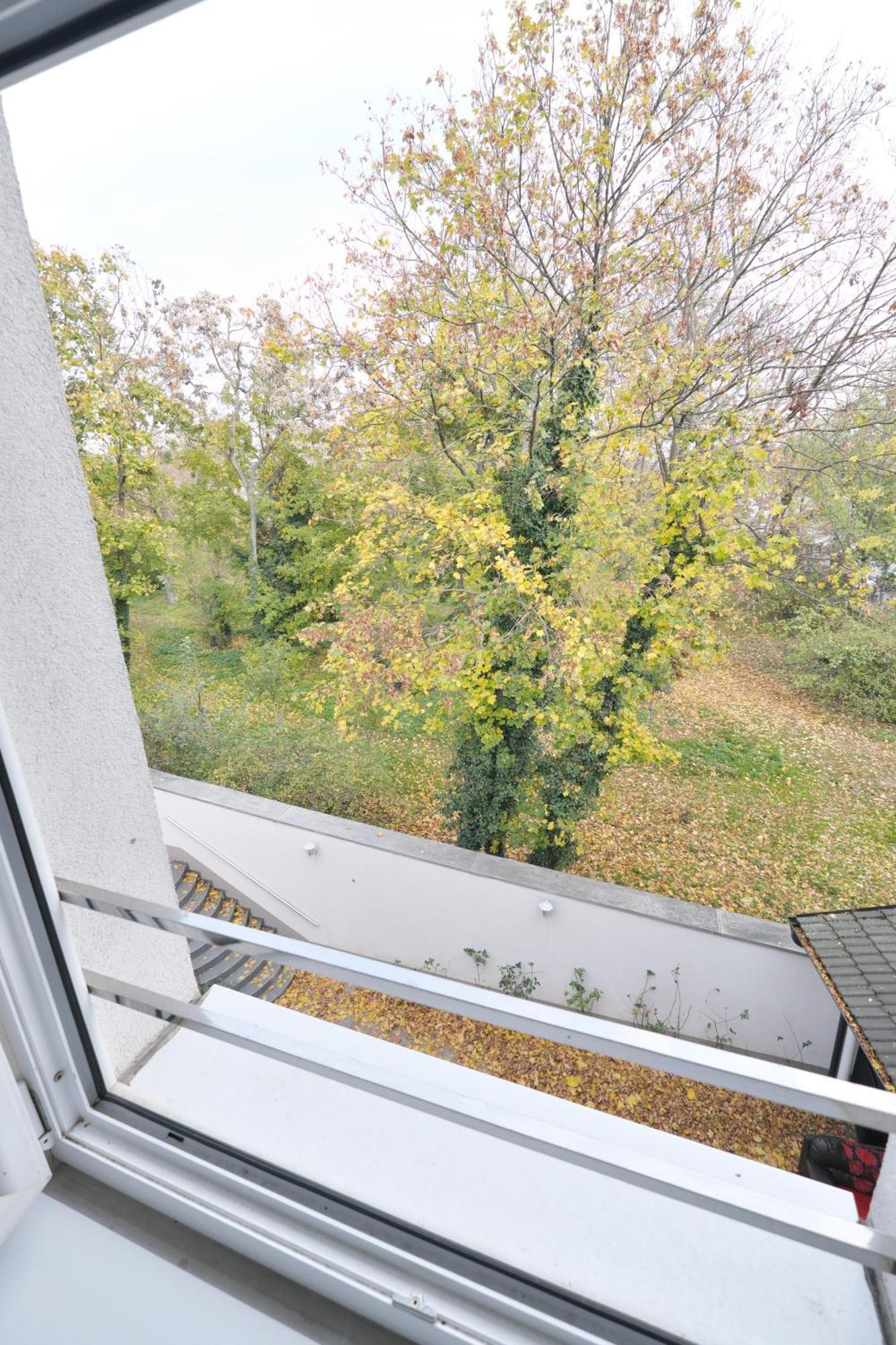 Appartement Schoenbrunn *